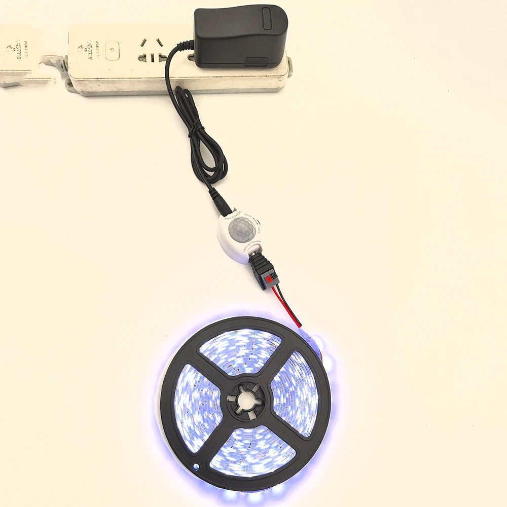 S7468473a68c443299c183cc2480bf3f2x